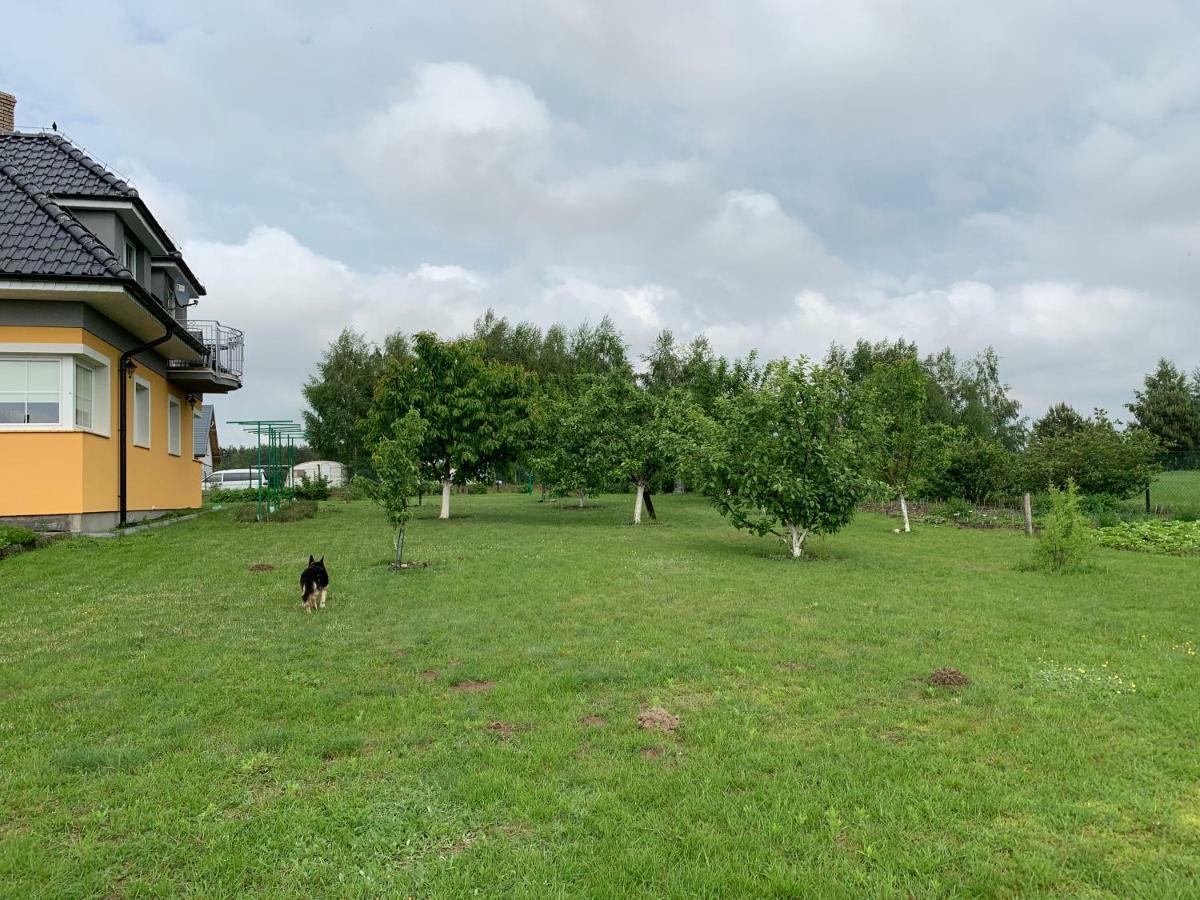 Agroturystyka Nad Wielkim Szelagiem Stare Jabłonki 外观 照片